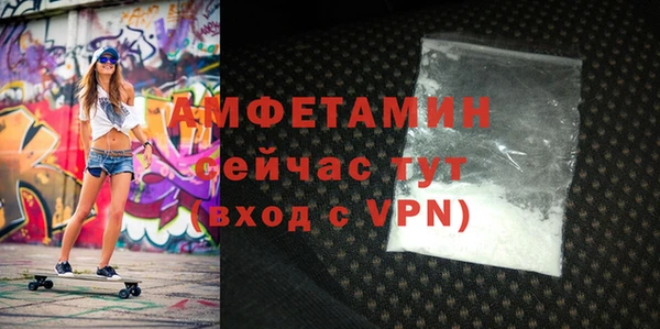 гашик Тихвин