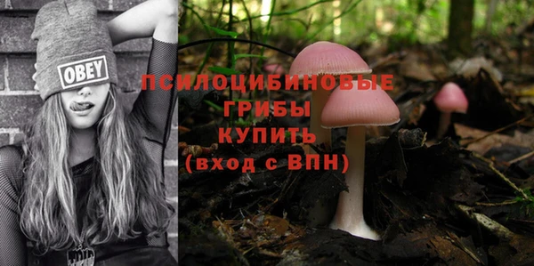a pvp Белокуриха