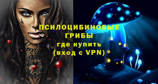амф Тобольск